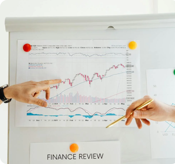 Google Business Profile Support